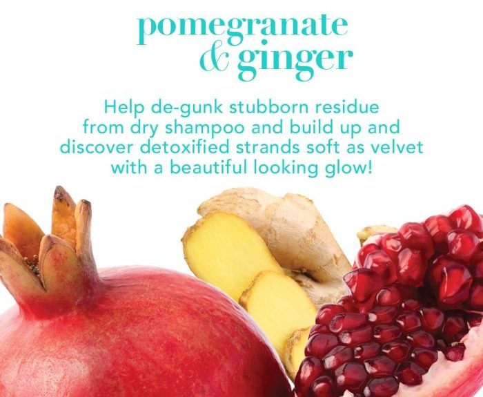 شامپو زنجبیل انار او جی ایکس OGX Pomegranate Ginger Shampoo